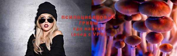 спайс Арсеньев