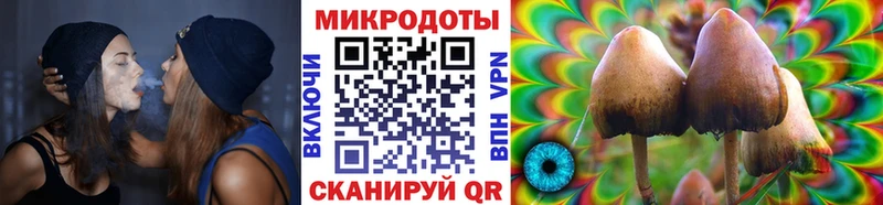 ОМГ ОМГ   Калининск  площадка состав  купить  сайты  Псилоцибиновые грибы ЛСД 